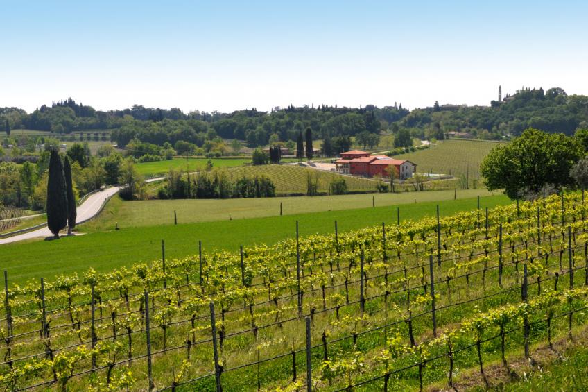 I Molini (LAZ595) - foto 23
