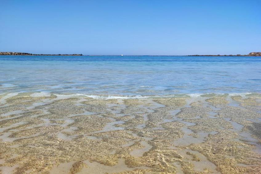 Mogan Montana - foto 27