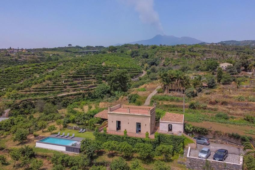 Avocado Garten - foto 9