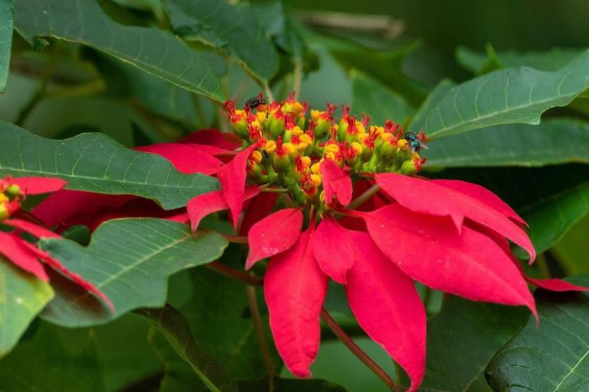 Das Haus der Patin 2 - foto 13