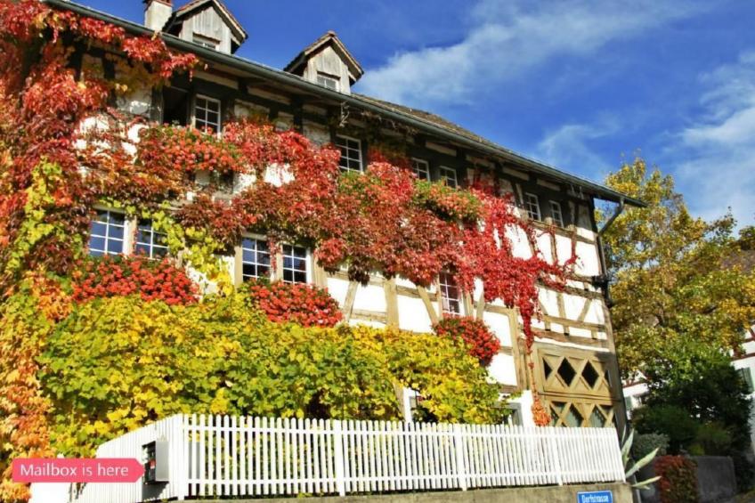 Les Mignardises - foto 9