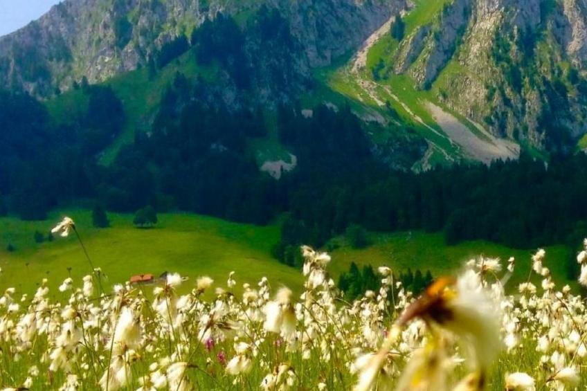 Brunni-Alpthal direkt an den Mythen-Bergen - foto 40