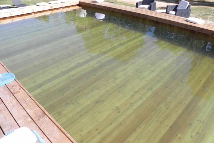 Les Belins - foto 12