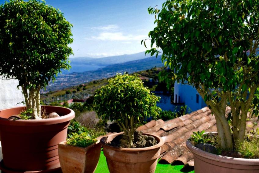 Casa Madera - foto 43