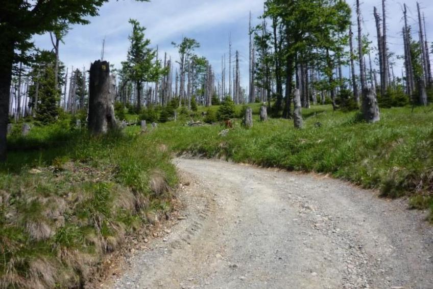 Moderne Ferienwohnung mit Gartennutzung - foto 12