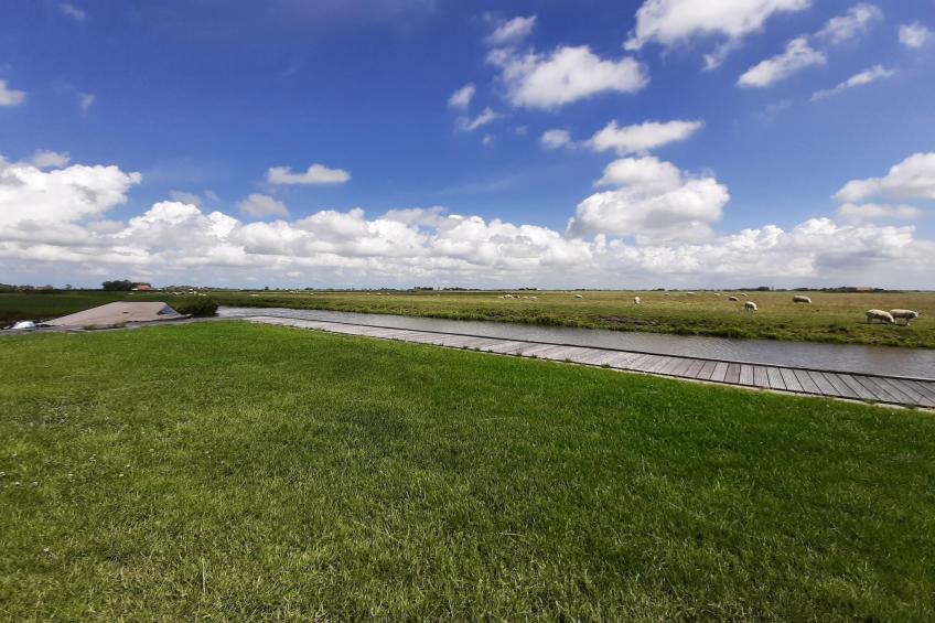 Friese Villa 4 6 pers met sloep optioneel bij te boeken - foto 60