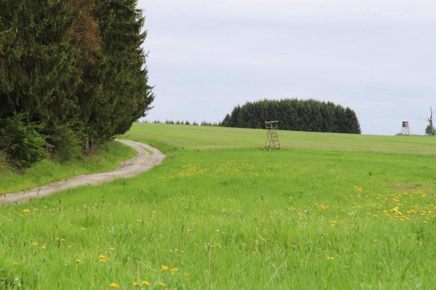 Hexenzauber II - foto 45
