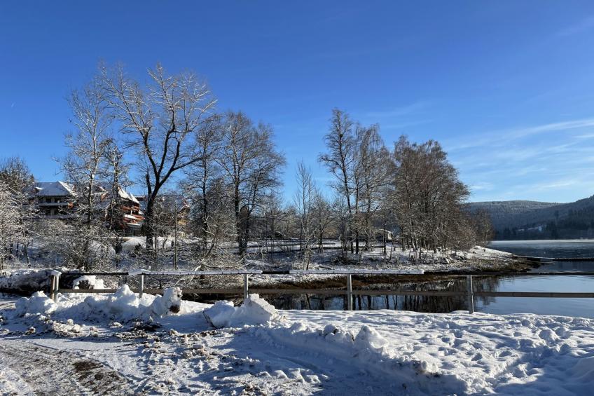 Kurhotel Schluchsee, 4-Bettwohnung - foto 50