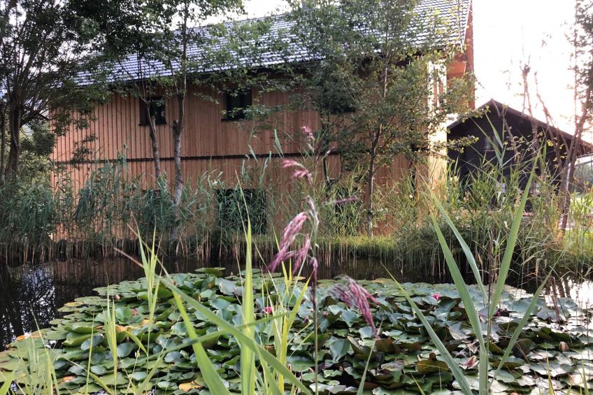Nette Wohnung in Bad Aussee mit Garten und Grill und Bergblick - foto 8