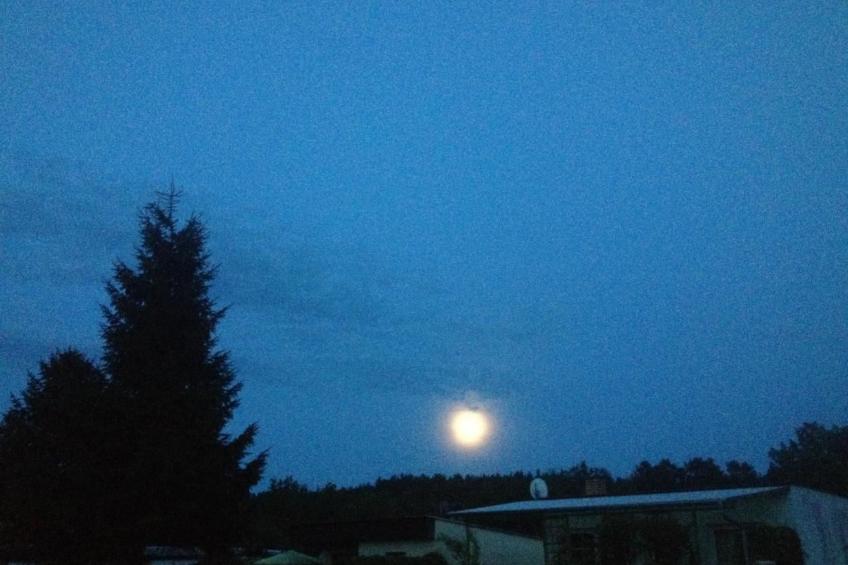 Bungalow Mecklenburgische Seenplatte - foto 6