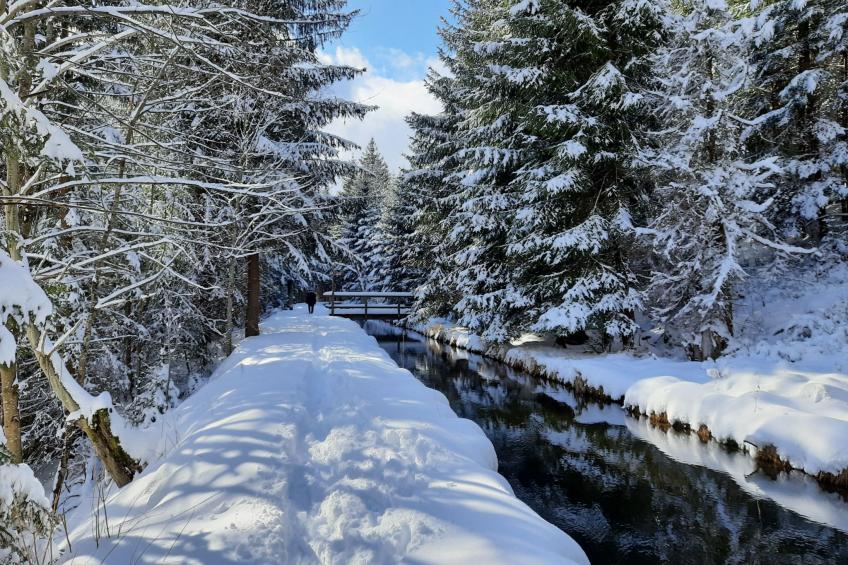 Seitz 2 in Bayerisch Eisenstein - foto 45