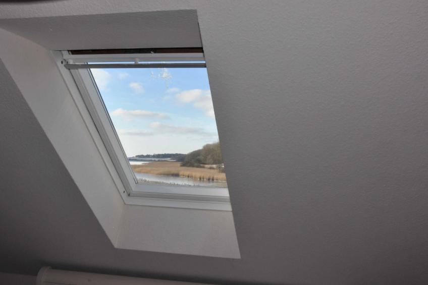 Boddenkiek Seedorf - foto 9