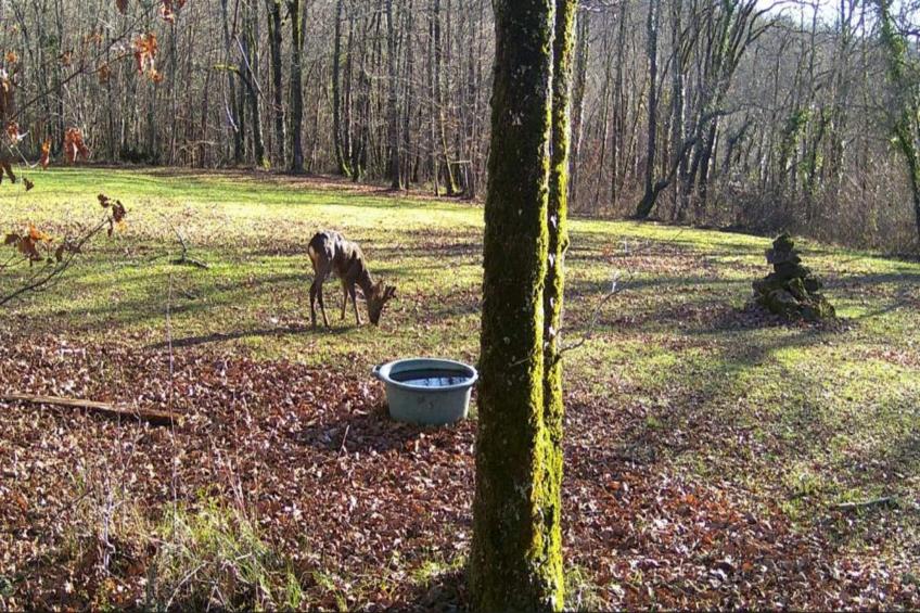 Domaine de Gavaudun - Le gîte Vezou - foto 33