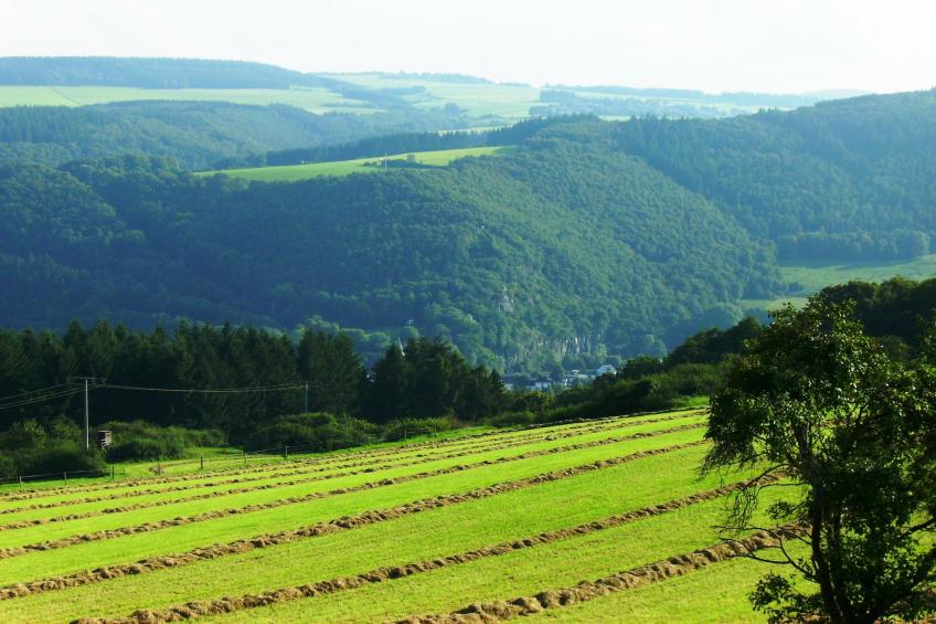Zur Schöne Aussicht - foto 30