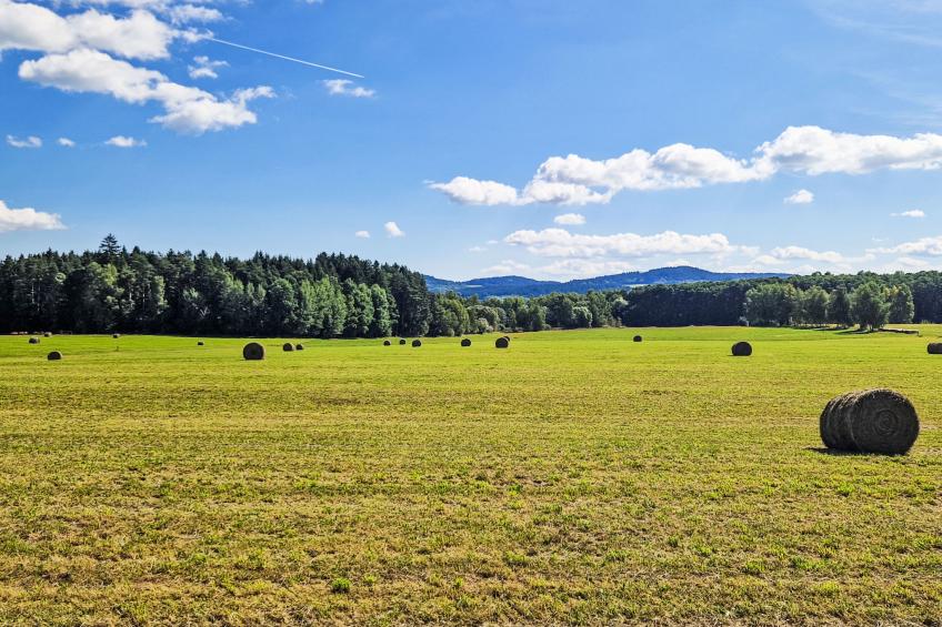 Hůrka - foto 43
