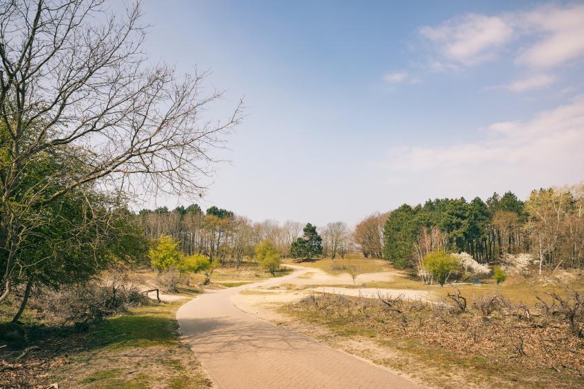 Duinresort Dunimar 3 - foto 29