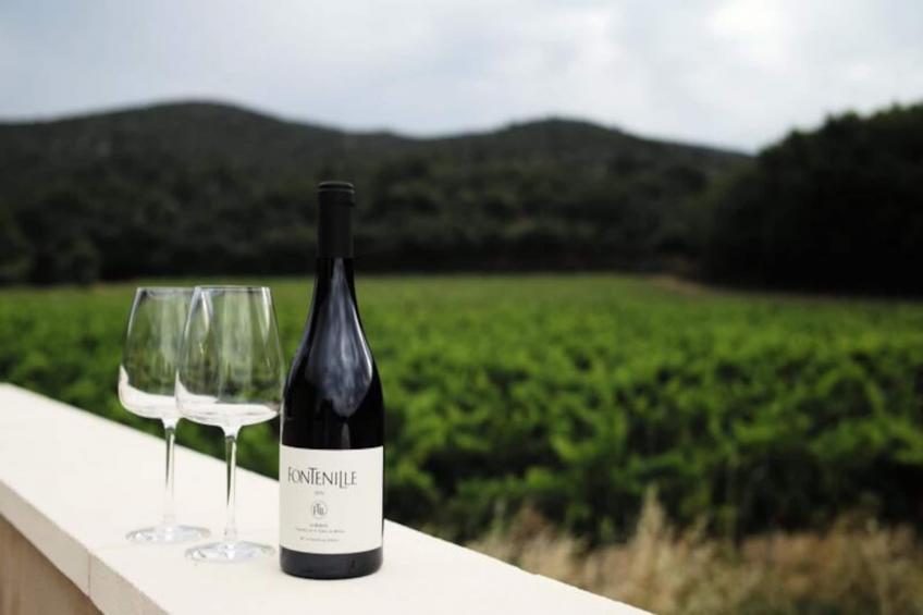 Vivez L'authenticité à La Maison "au Pied Des Vignes" - foto 37