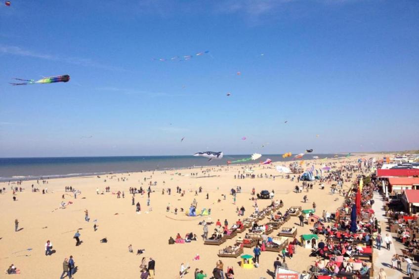 Elzendreef - foto 23