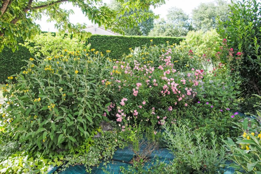 Urlaub im Süden zwischen Meer und Bergen - foto 31