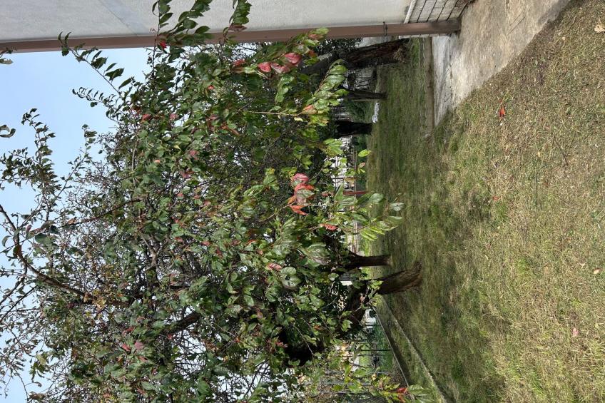 5-Zimmer-Haus, geeignet für große Gruppen - foto 22