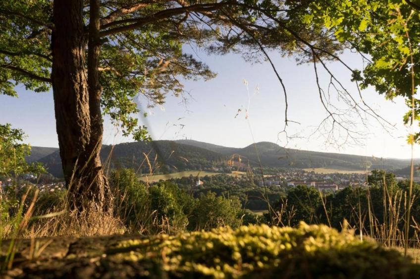 Sonnenschein - foto 32