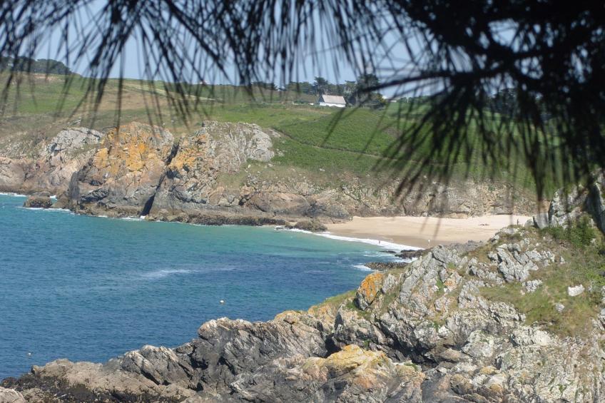 Unterkunft in der Mitte - foto 25