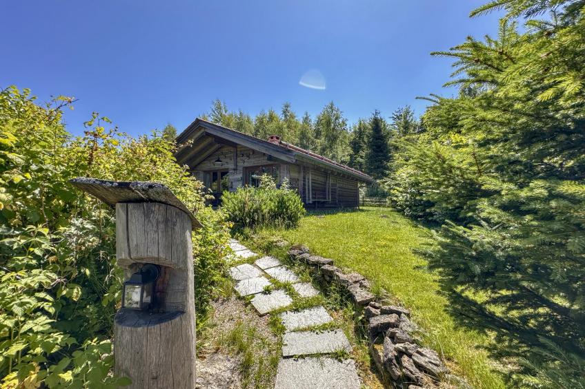 Säulenbaum - foto 19