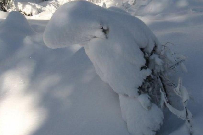 in Haschaberg mit Sonniger Terrasse - foto 50