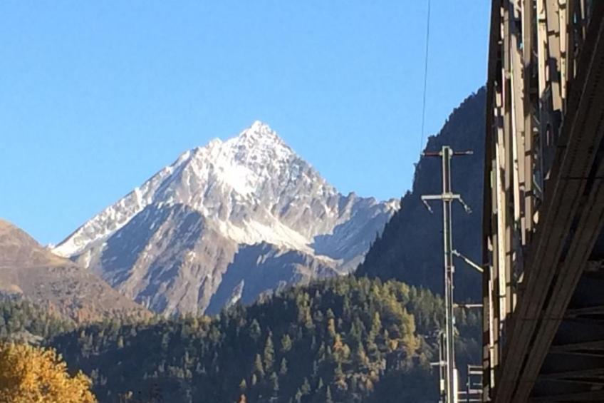 Ers Curtins - foto 25