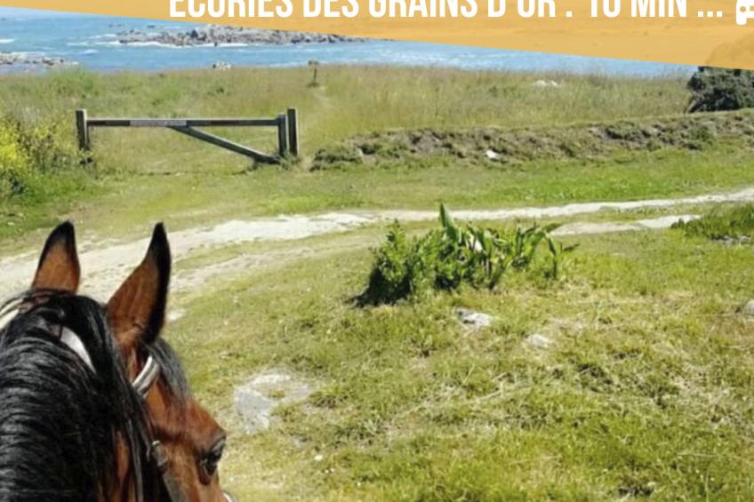 Das Dolmengebäude Clara - foto 61