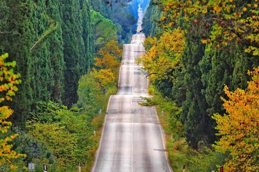 Castagneto1 - foto 24