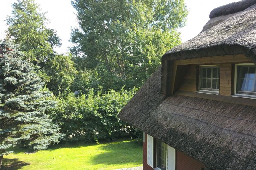 Idyllisches Reetdachhaus mit großem Garten - foto 18