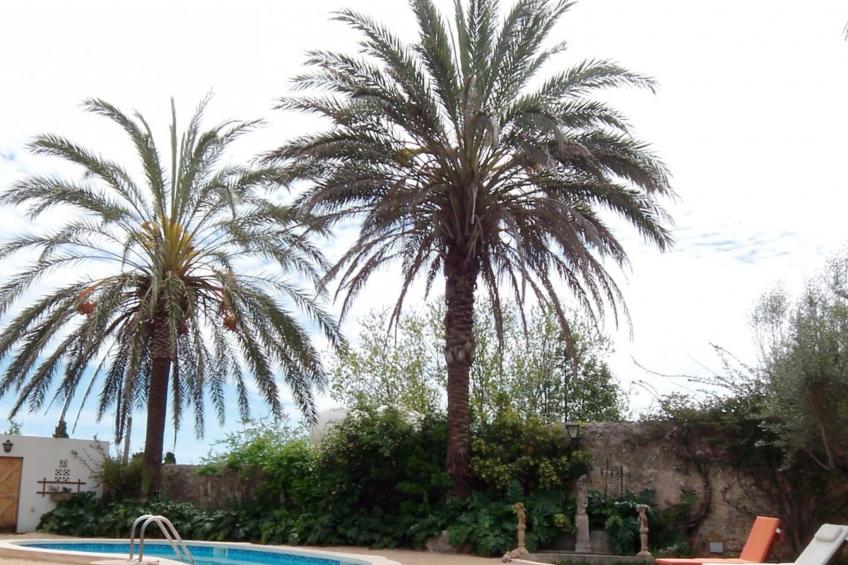 Can Mavi 02 - foto 10