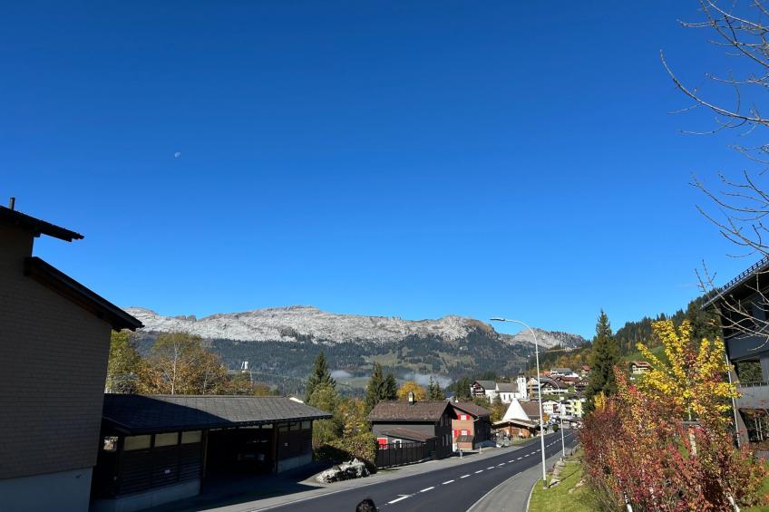 Wohnung Hirschi - foto 34