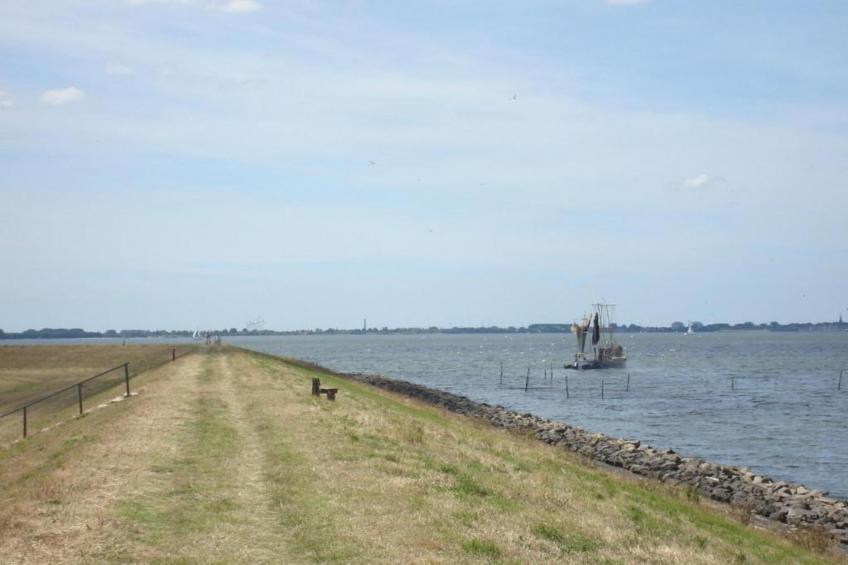 Villavakantiepark IJsselhof - foto 33