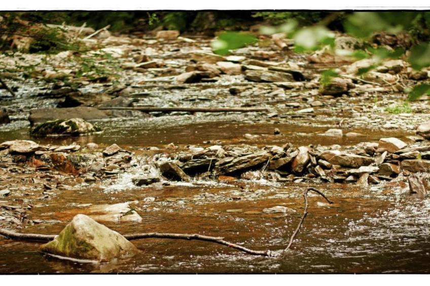 La Fausse Epine - foto 29