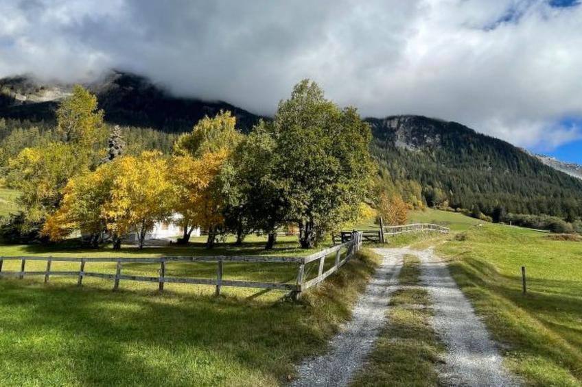 mit Garten Tgeasa Schilendra-Lantsch/Lenz - foto 5