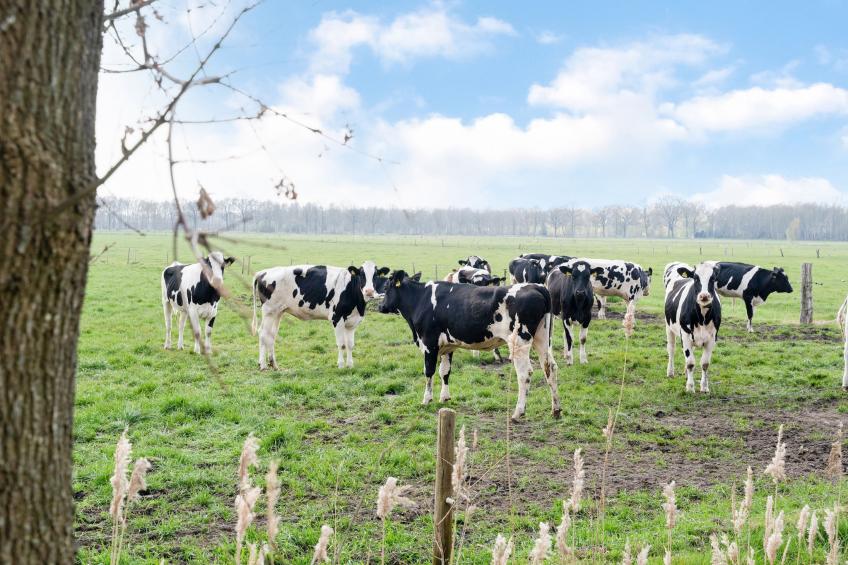 Okken House 3A - foto 17