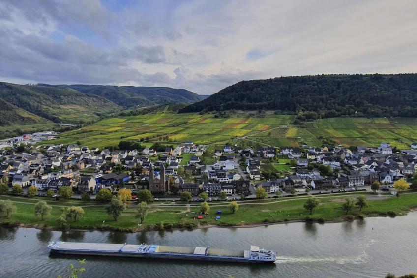 FEWO Flieder - foto 8