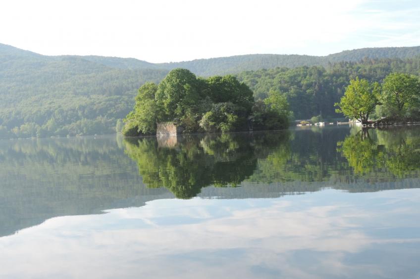 Ederseeblick in Bringhausen am Edersee - foto 27