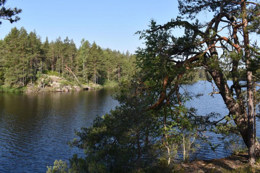 Typisch schwedisches Ferienhaus mit Garten - foto 35