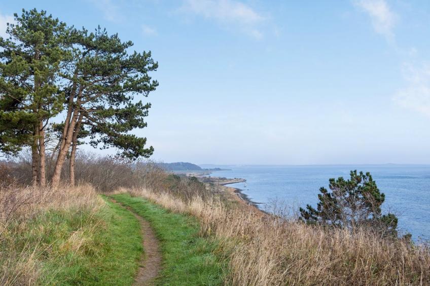 "Bosilka" in Sealand - foto 22