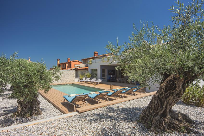 Villa Balizerka - foto 14