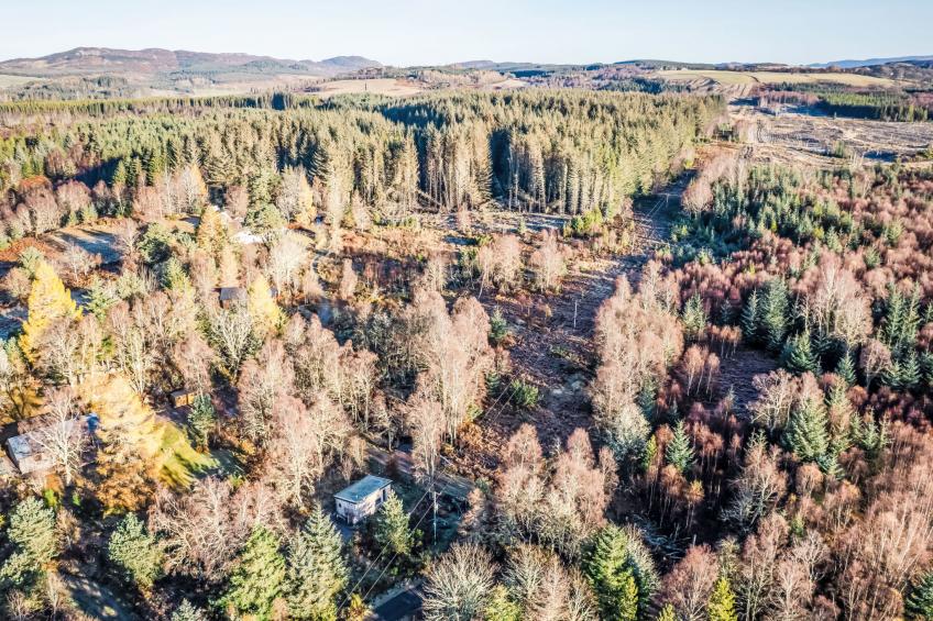 G-Wilderness Cabin - foto 29