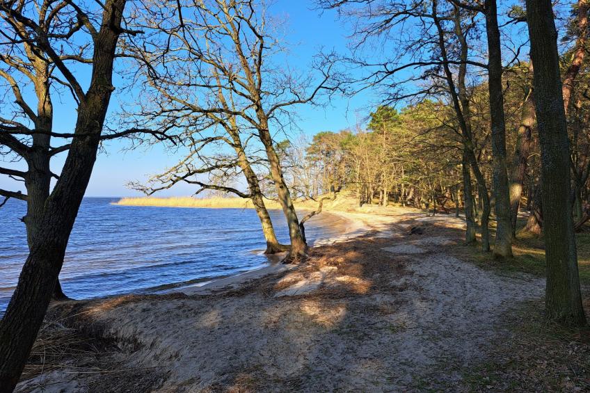 mit Terrasse mitten im Grünen - foto 24