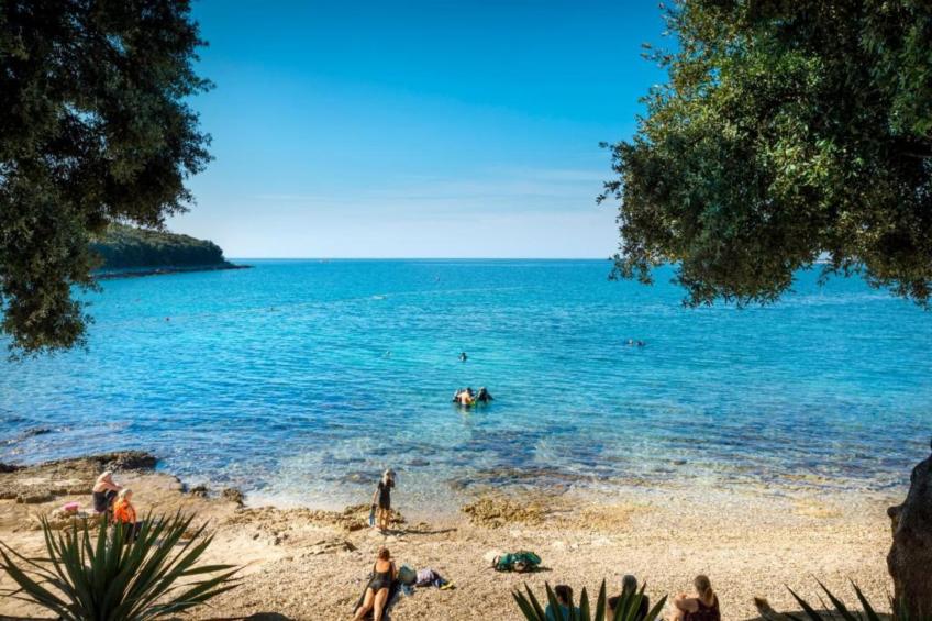Casa Vacanza Orsera - foto 8