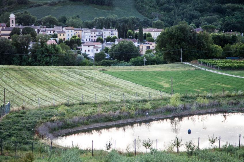 Wohnung im ersten Stock - foto 15