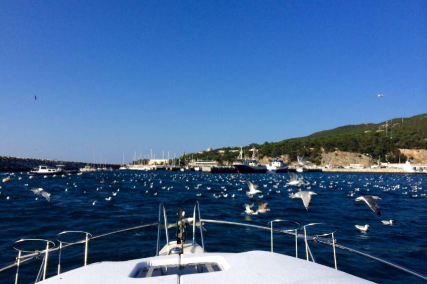 in Sesimbra mit Grill, Terrasse und Garten - foto 23