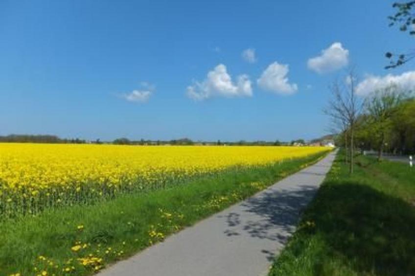 Ferienwohnung - foto 25