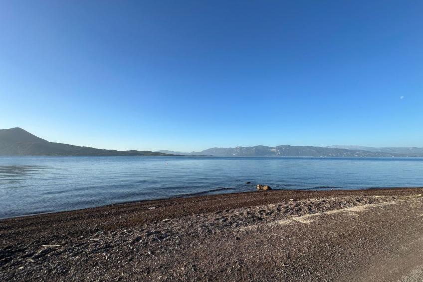 Tanjas Paradise - foto 9